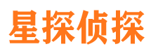 岱岳侦探公司